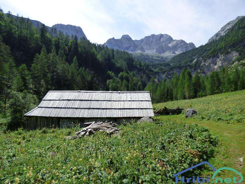 Etnologija planinskega pašništva, brezplačno vodenje na planino Zapotok