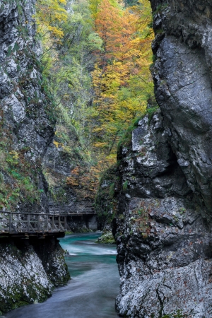 Vintgar Gorge