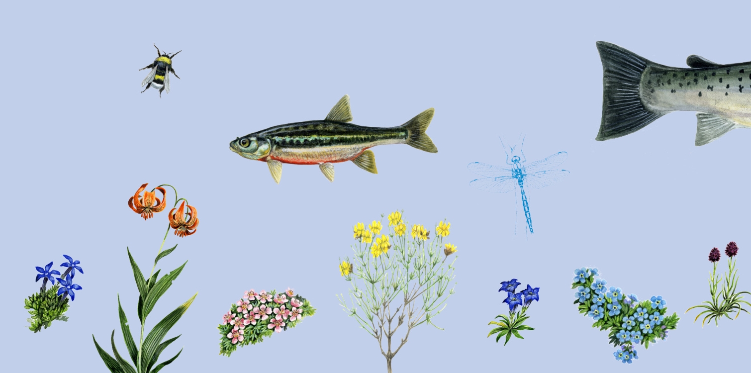 VEČ KOT JEZERO: več kot razstava, več kot časopis