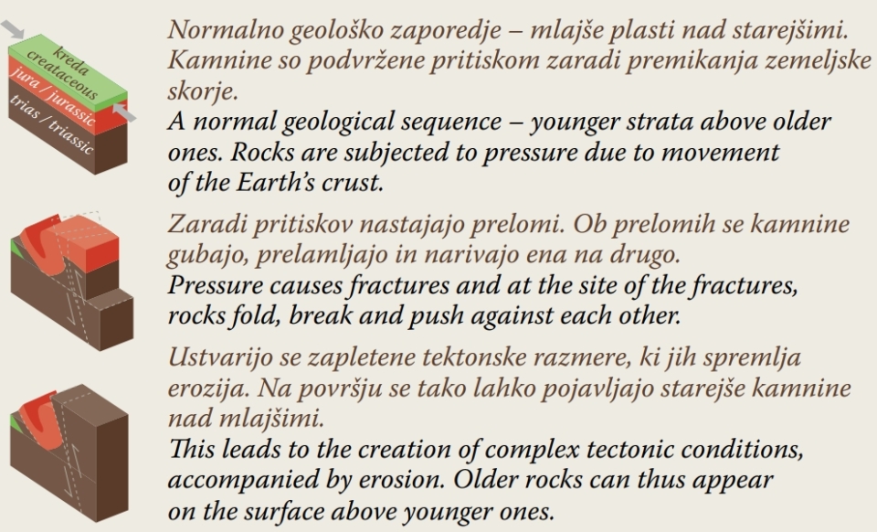 Dekorativni element