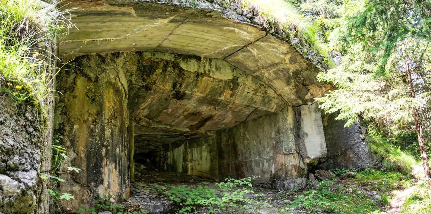 Načrti in gradnja obrambne zapore alpskega zidu v dolini Soče - predavanje Zgodovinskega društva Rapalska meja