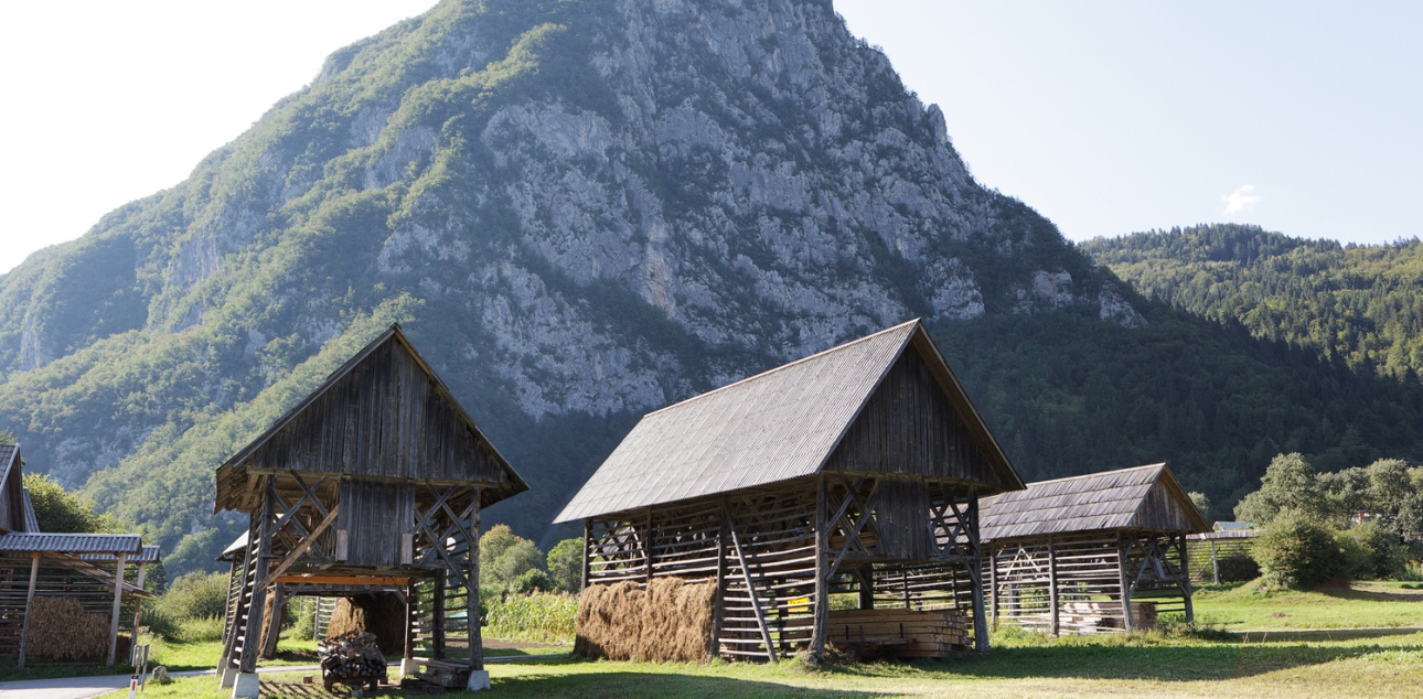 Studor v Bohinju – skupina kozolcev pod vasjo