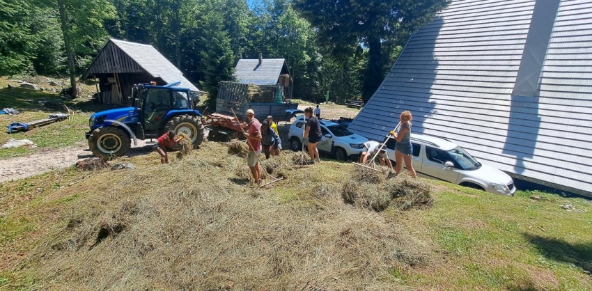 Belgian Scouts also volunteer to help restore meadows in the LIFE FOR SEEDS project