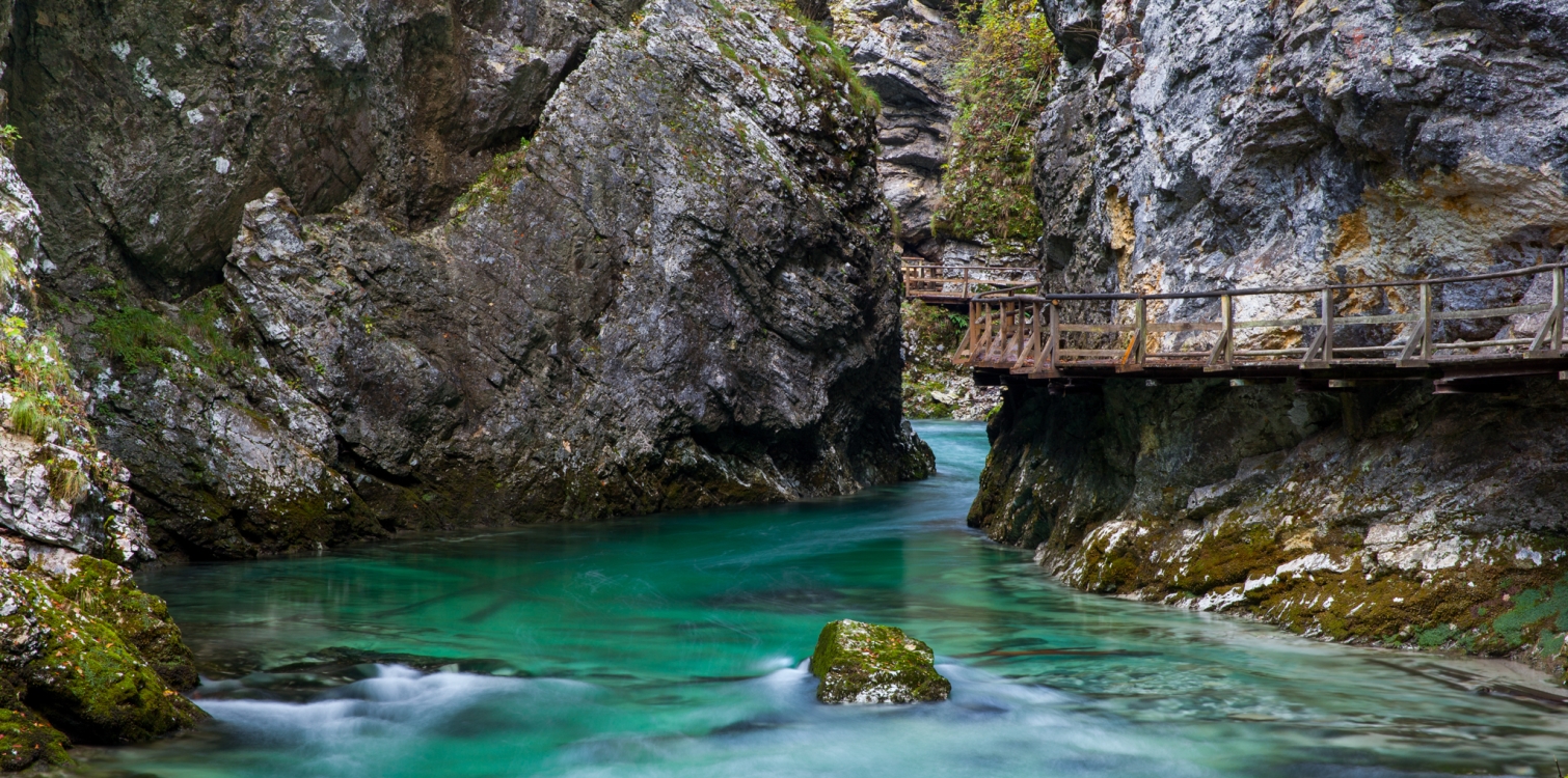 Bohinj, Bled, Gorje in Pokljuka