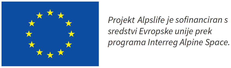 Dekorativni element