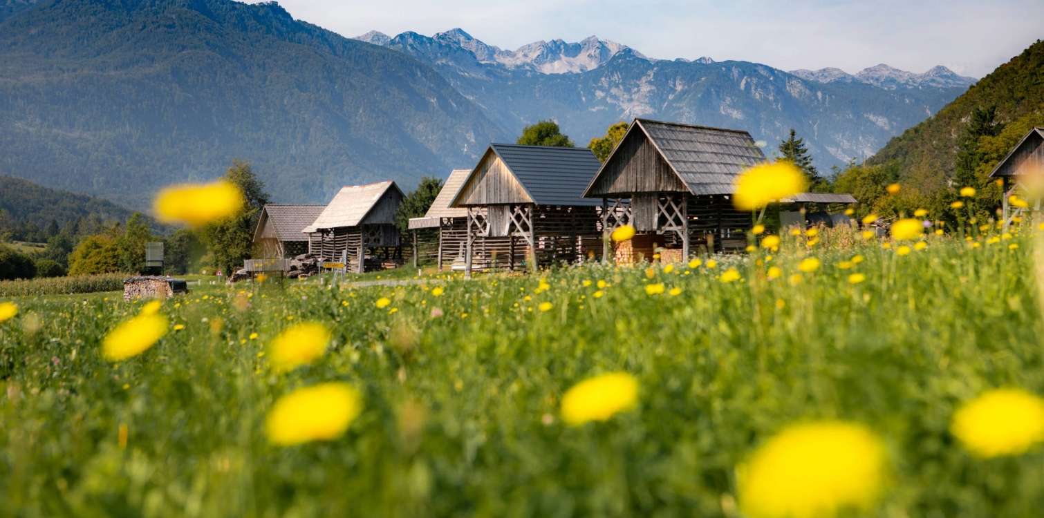 The Studor Village and the Stogov group