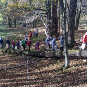 Počitniški sprehod: lov za zakladom