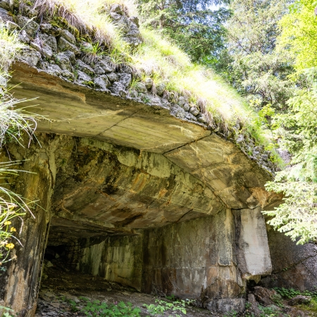 Načrti in gradnja obrambne zapore alpskega zidu v dolini Soče - predavanje Zgodovinskega društva Rapalska meja