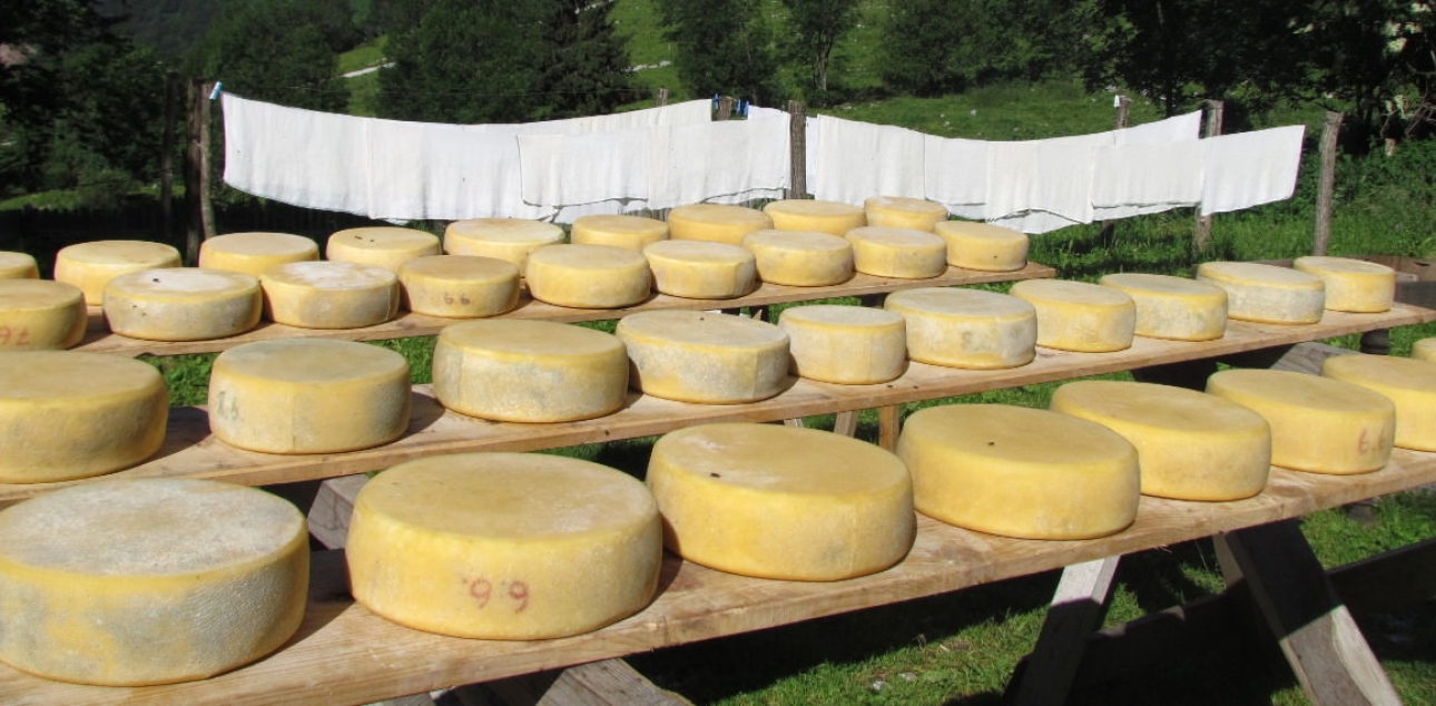 Tolminc Cheese