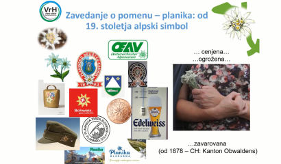 Strokovno predavanje Alpska možina