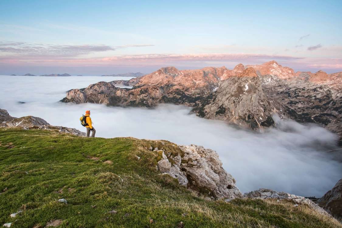 Aktualno