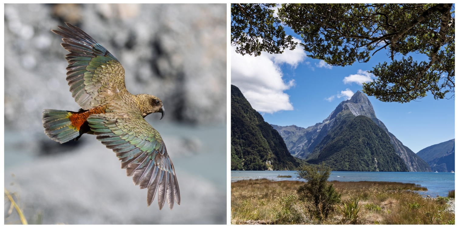 Aotearoa - potopisno predavanje o Novi Zelandiji