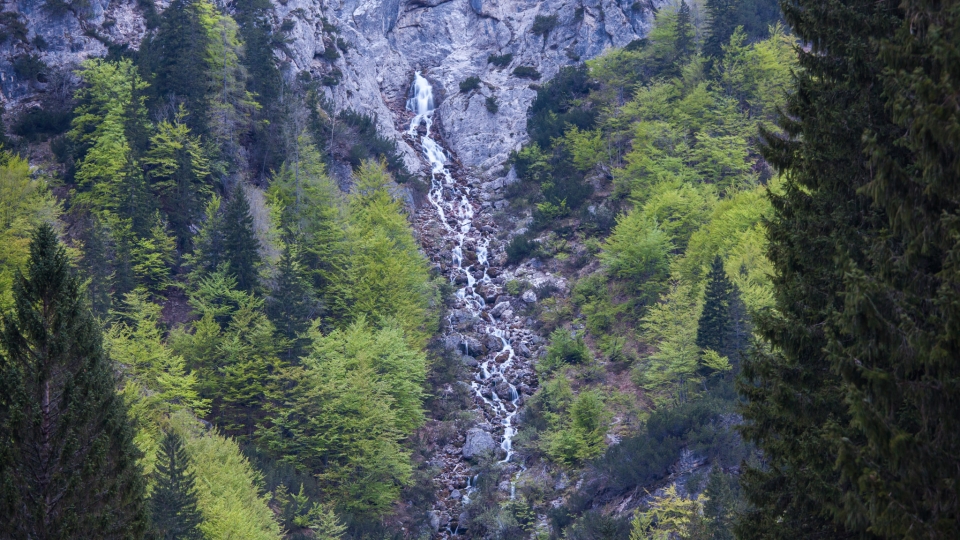 The Nadiža Spring