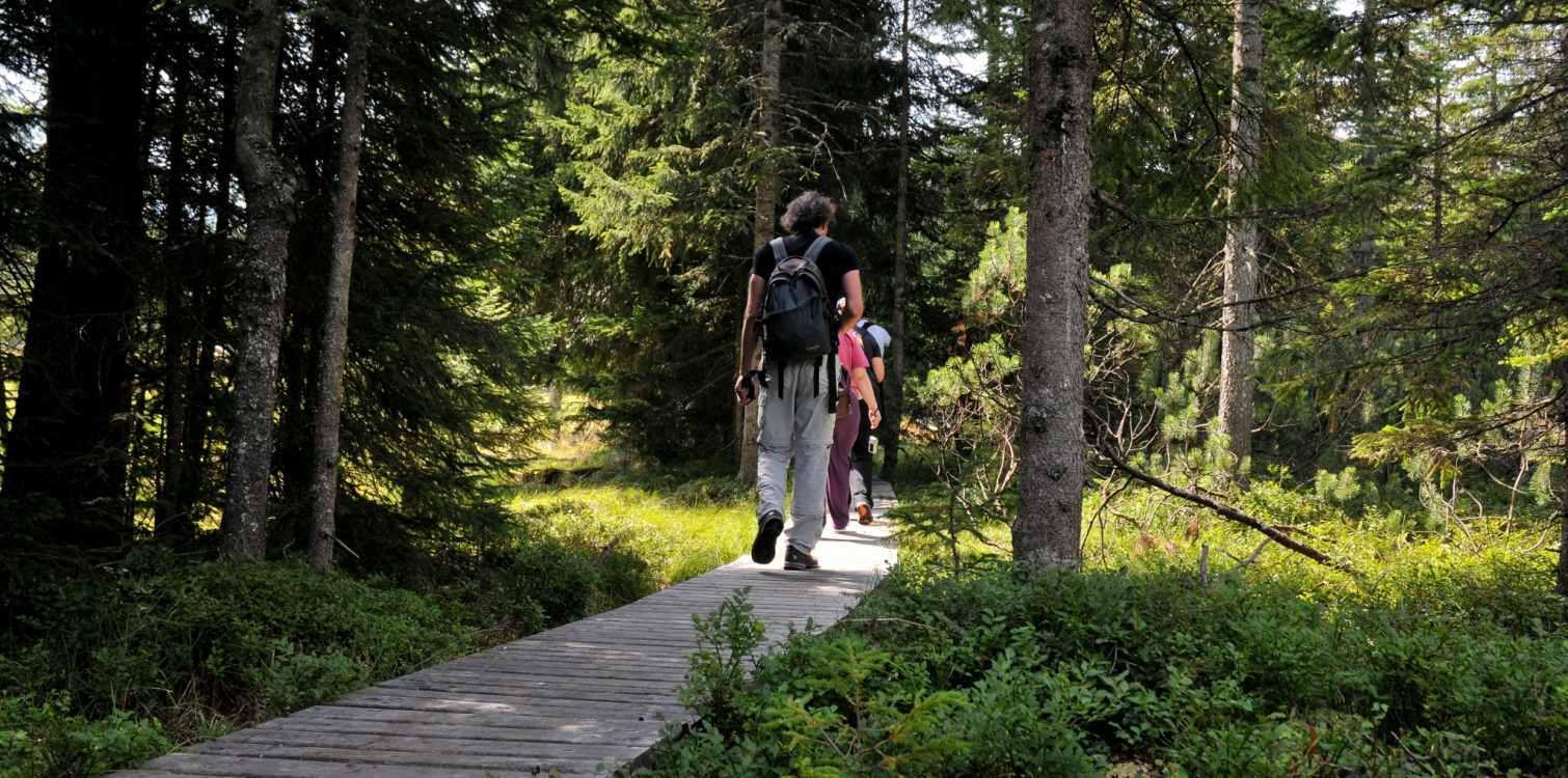 Goreljek nature trail