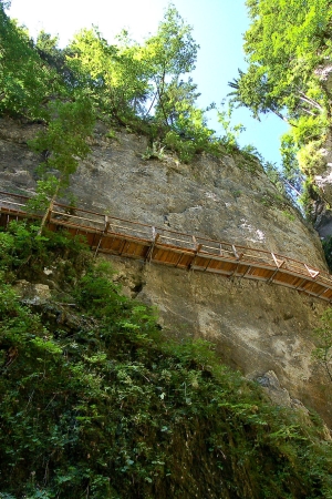 The Pokljuka Gorge