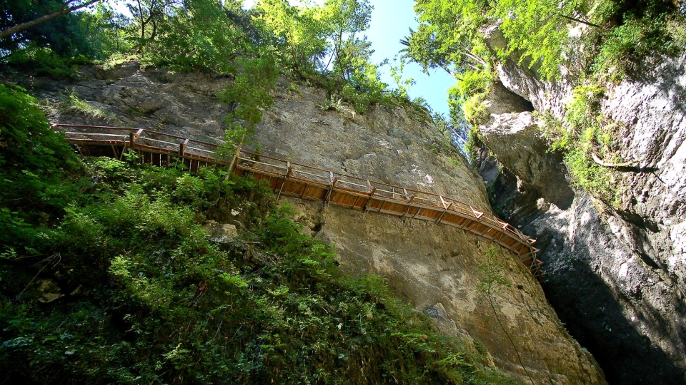 The Pokljuka Gorge