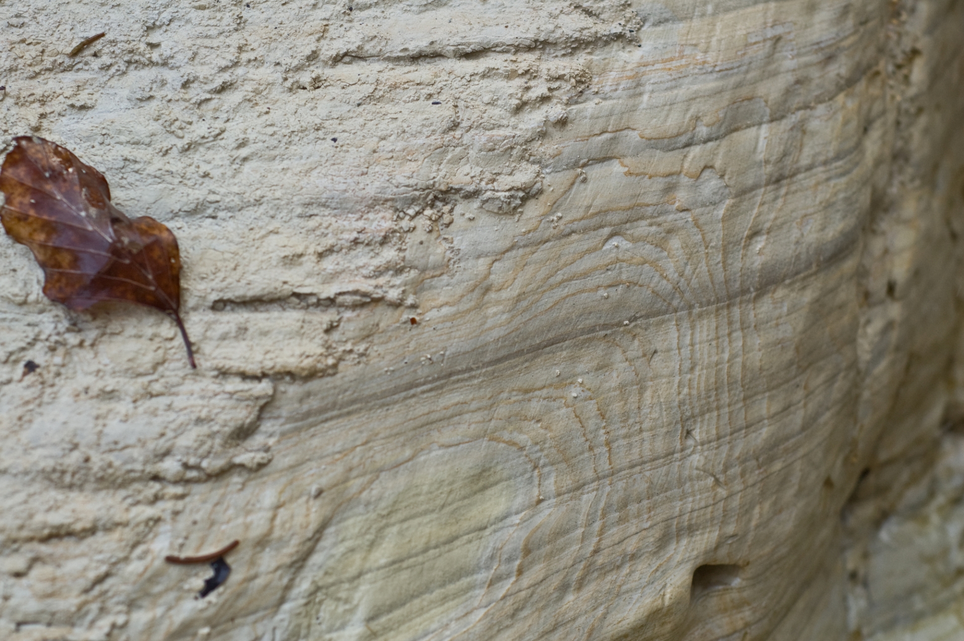 The photo shows a close-up of a gray-brown rocky surface. The surface on the left is rough and uneven, while on the right it is smooth with visible horizontal and circular grooves and patterns, suggesting erosion. In the top left corner of the photo is a