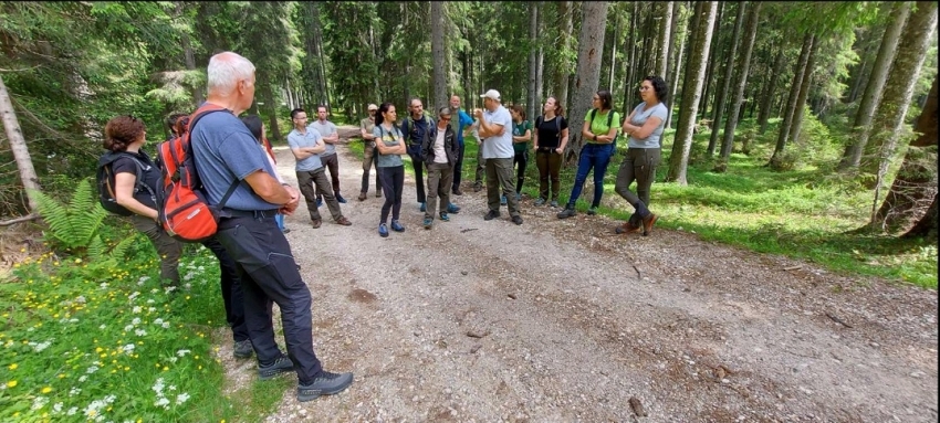 Zavod za gozdove Slovenije (ZGS) na Pokljuki zasadil že 13 tisoč sadik