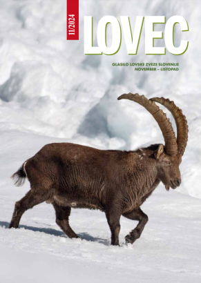 Lovec 2024-11