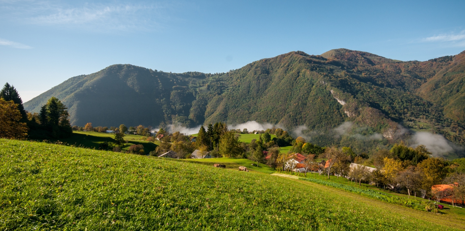 Settlements in the park