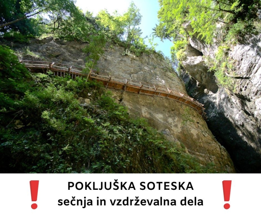 Logging and maintenance works in Pokljuka Gorge - closed Trail