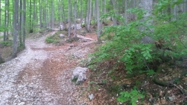 Dolina Vrata - Kriški podi - Luknja