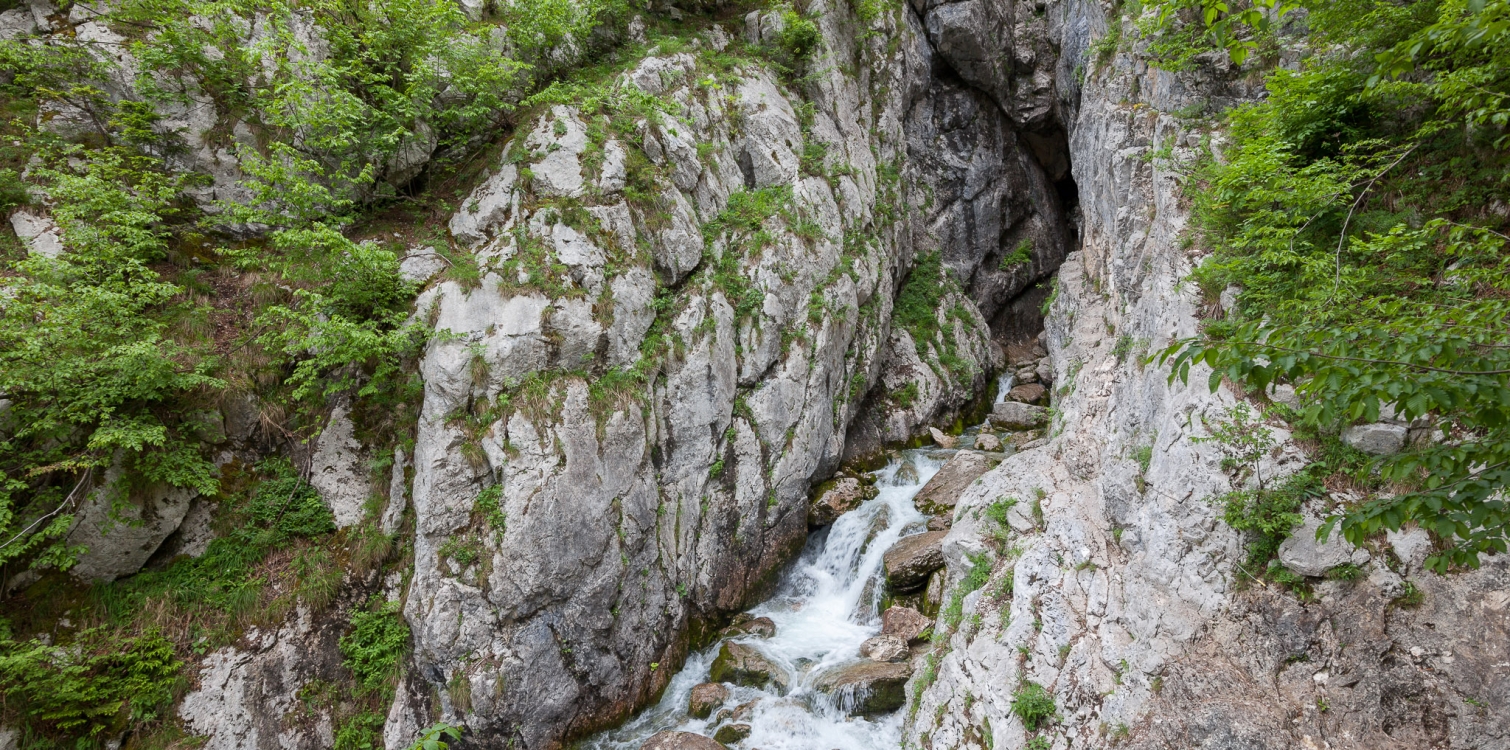 The source of the Soča