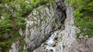 The source of the Soča