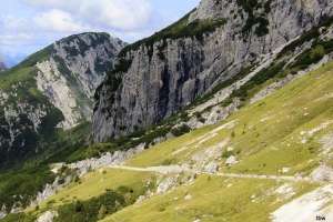 The Hay-carriers' Trail