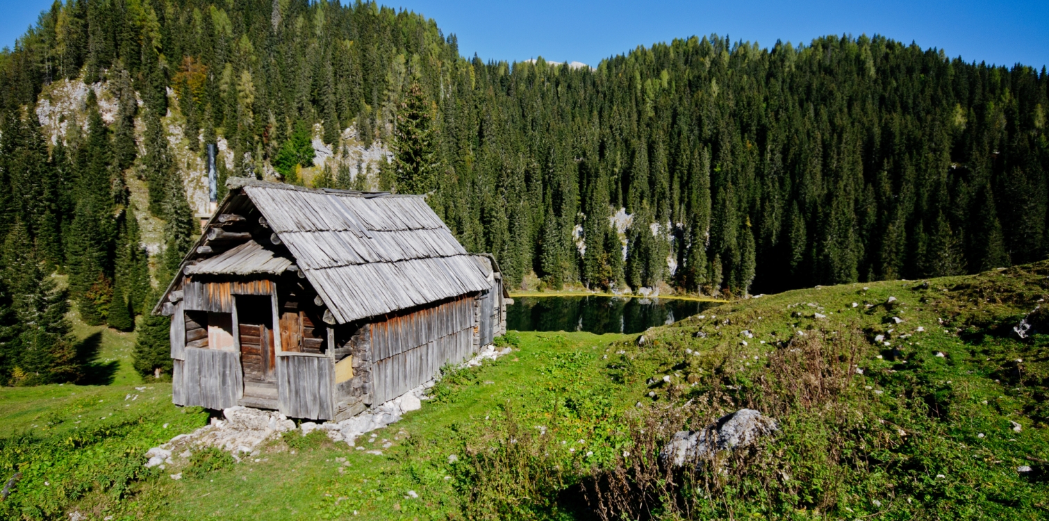 Stavbna tipologija