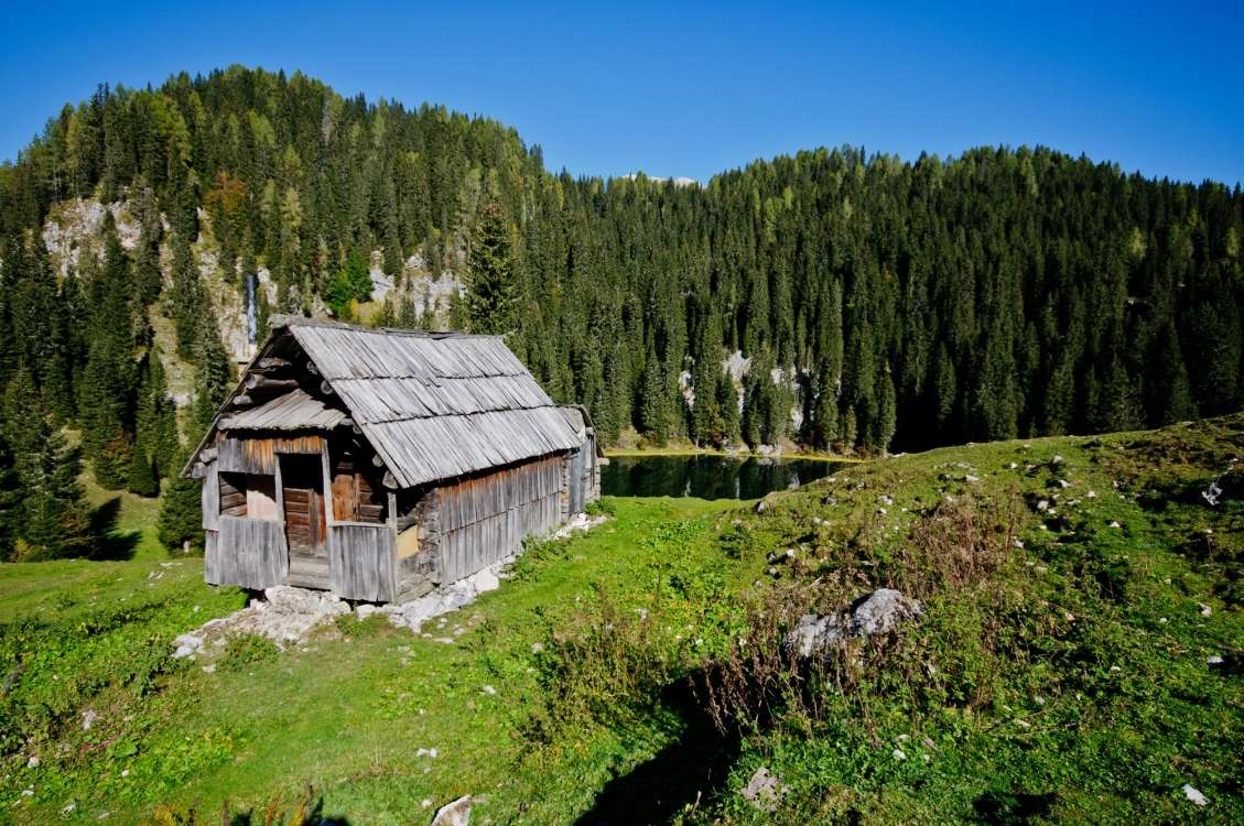Stavbna tipologija