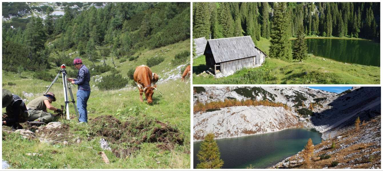 Predstavitev paleoekoloških in arheoloških raziskav v Julijskih alpah - Bohinj