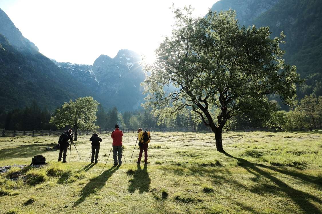 Aktivnosti in znamenitosti