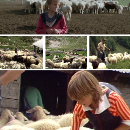 Screenings of films on pastoralism in Trenta