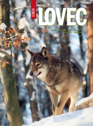 Lovec 2024-01