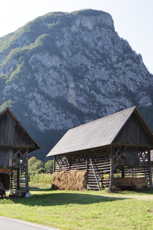 The Studor Village and the Stogov group