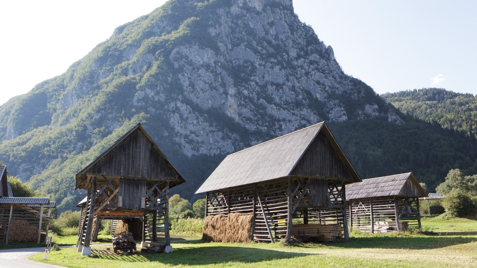 Das Studor-Dorf und die Stogov-Gruppe