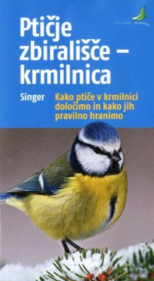Ptičje zbirališče - krmilnica: kako ptiče v krmilnici določimo in kako jih pravilno hranimo