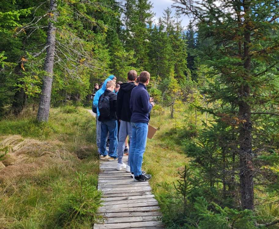 Sprehod skozi pokljuški gozd – spoznavanje rastlin in živali Pokljuke