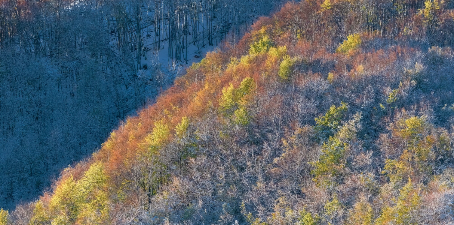 Zemlja Ma / Terra mia razstava fotografij in poezije