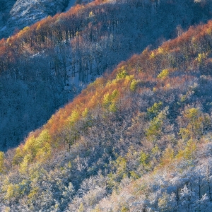 Zemlja Ma / Terra mia - razstava fotografij in poezije
