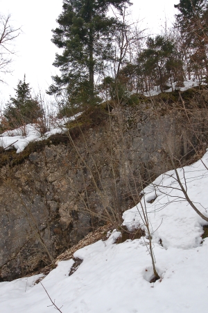 Na skalci - nahajališče jezerske krede, ledeniškega obrusa in fosilne morske obale