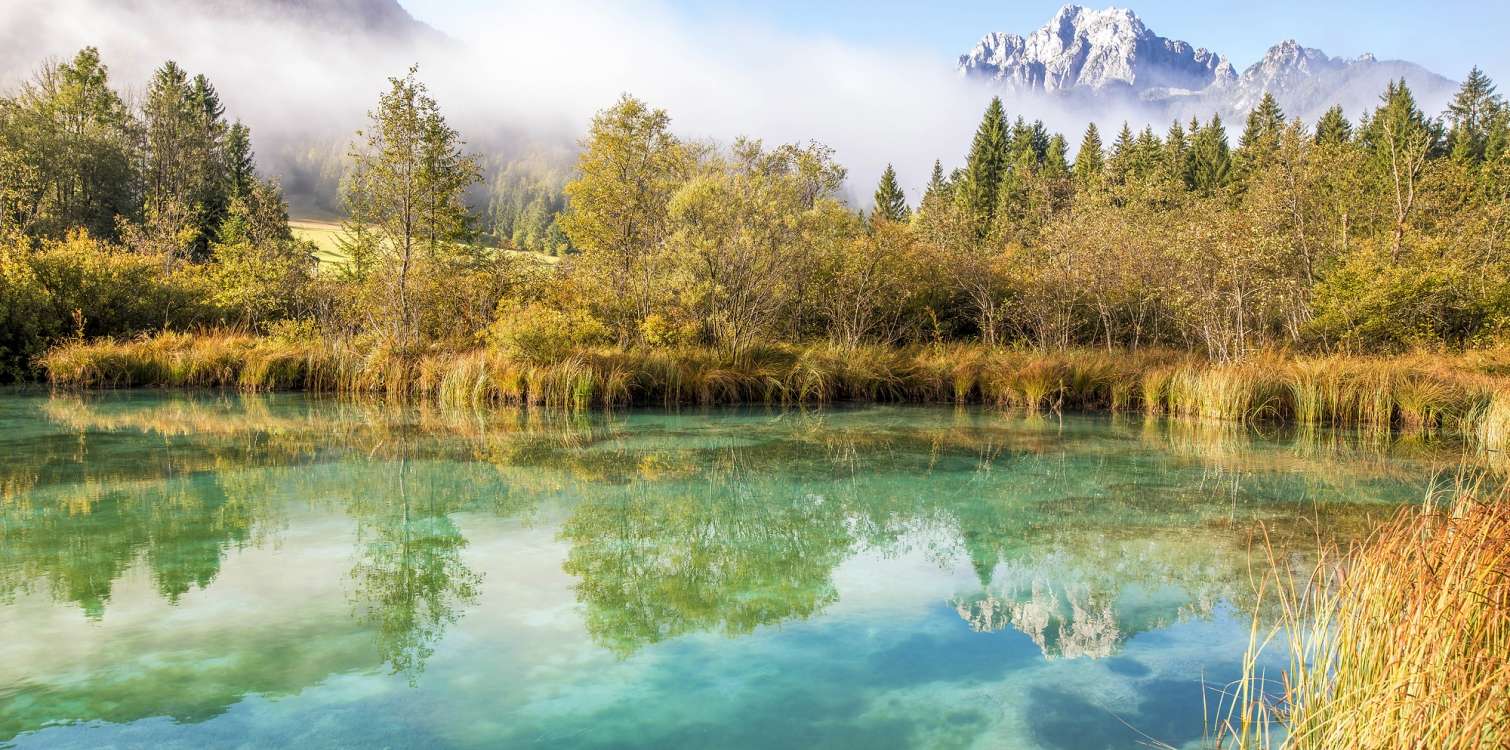 Zelenci