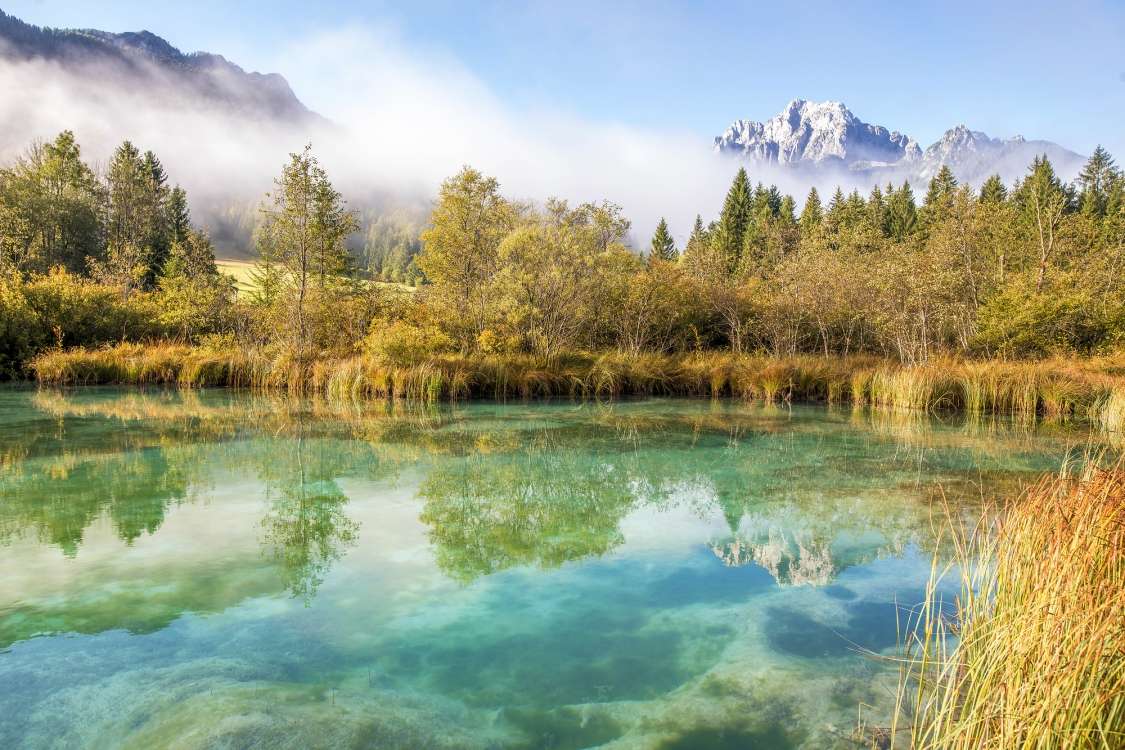 Zelenci
