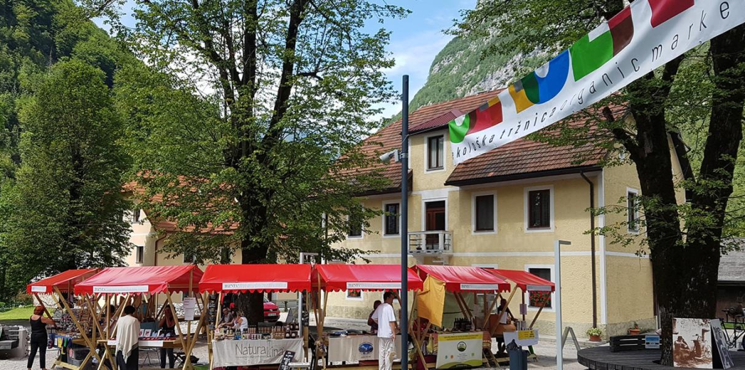 TRENTARSKI SENJEM  2024