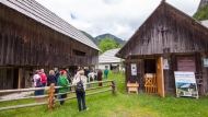 Das Pocar-Gehöft in Zgornja Radovna