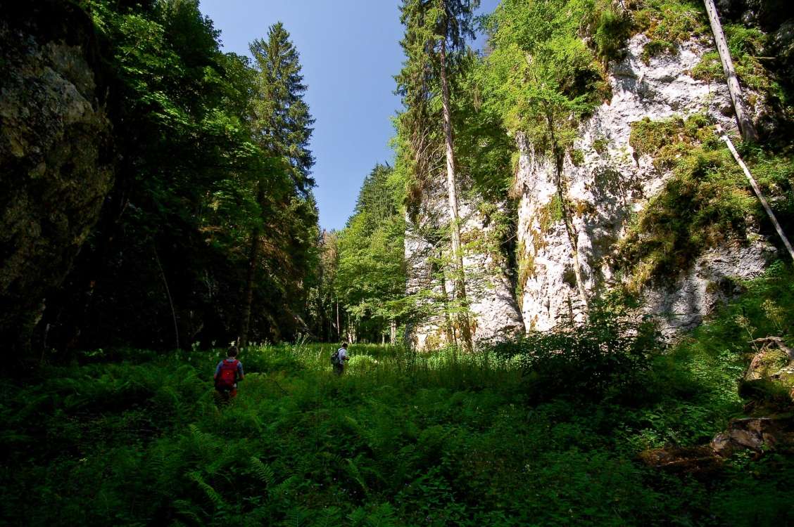 Pokljuška soteska