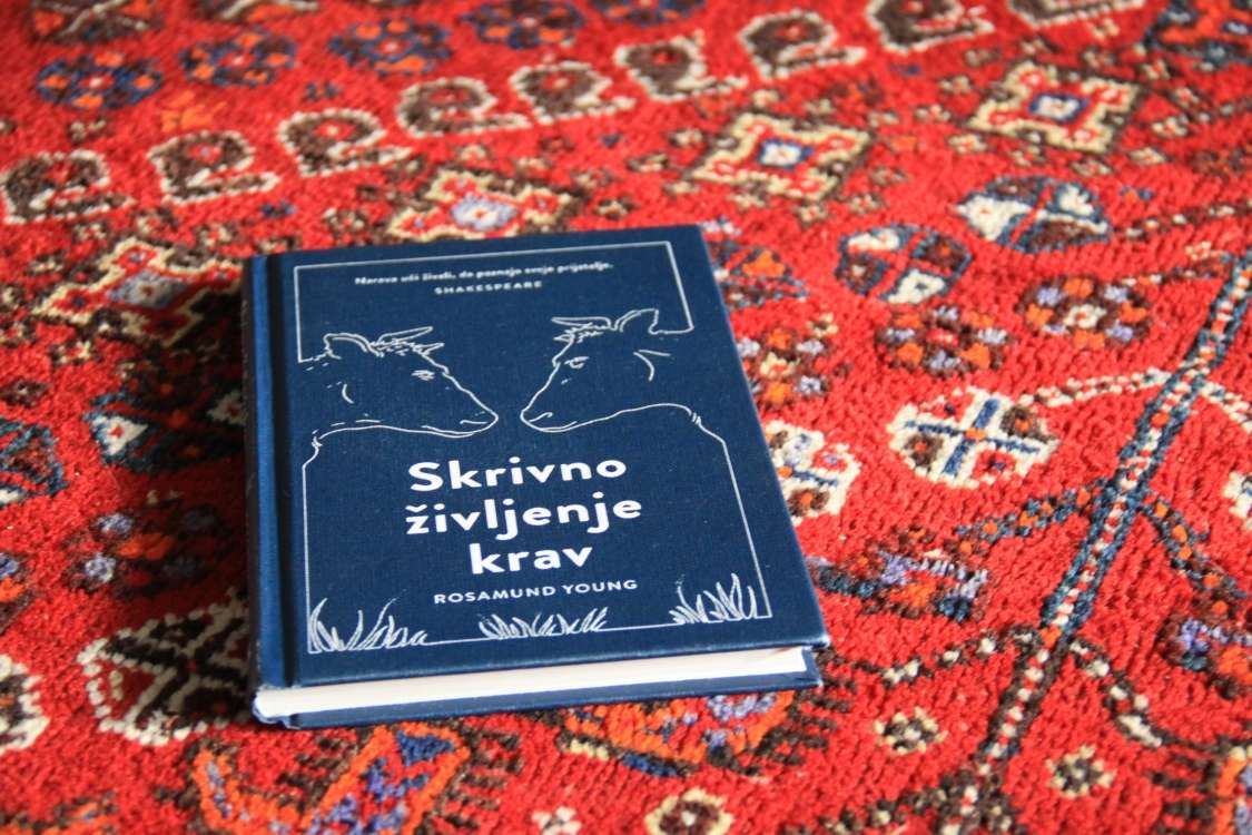 Skrivno življenje krav