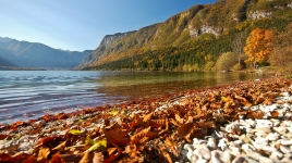 Bohinj – Ukanc, Bohinjsko jezero