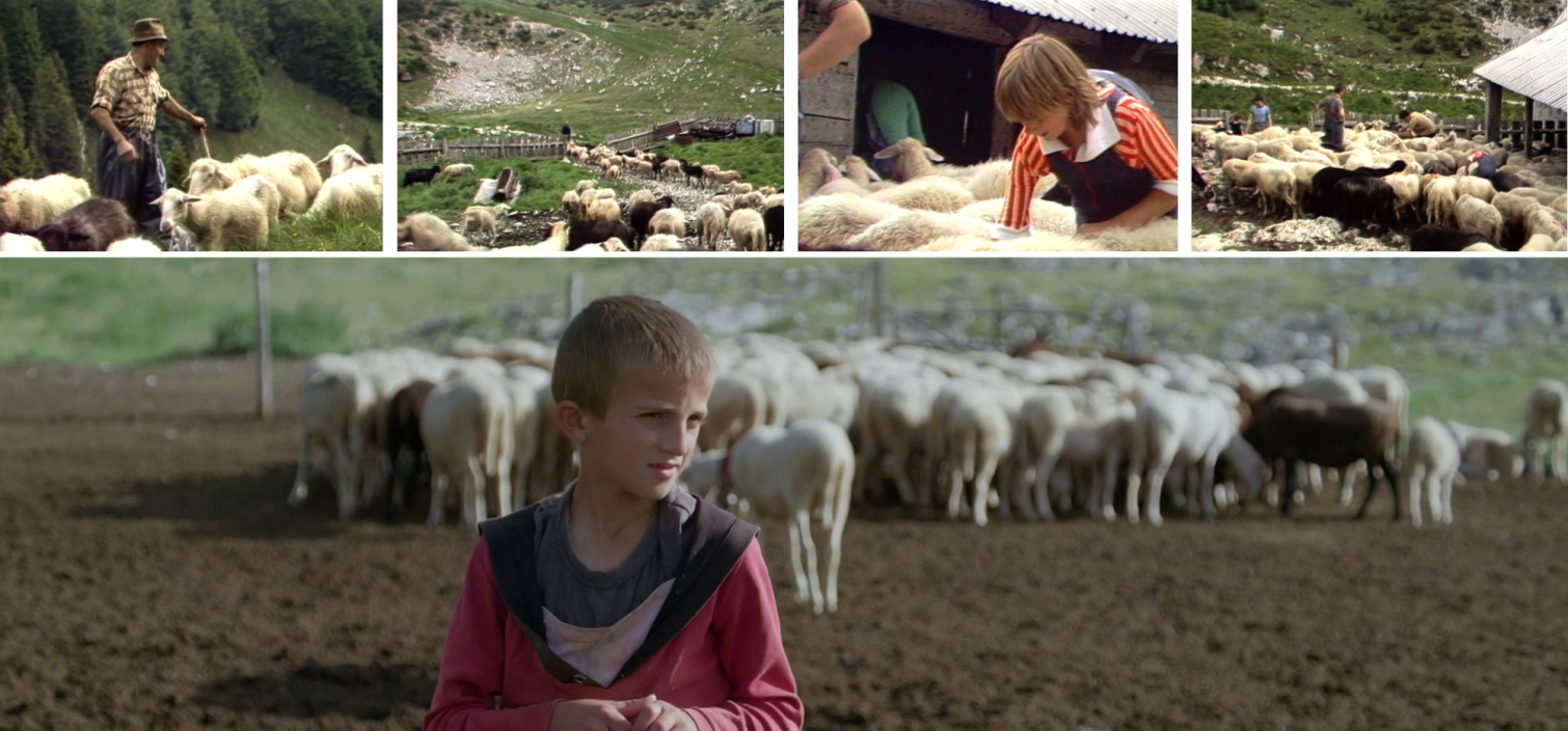 Filmski večer pod zvezdami v Trenti: Poletne počitnice, Slike iz Trente
